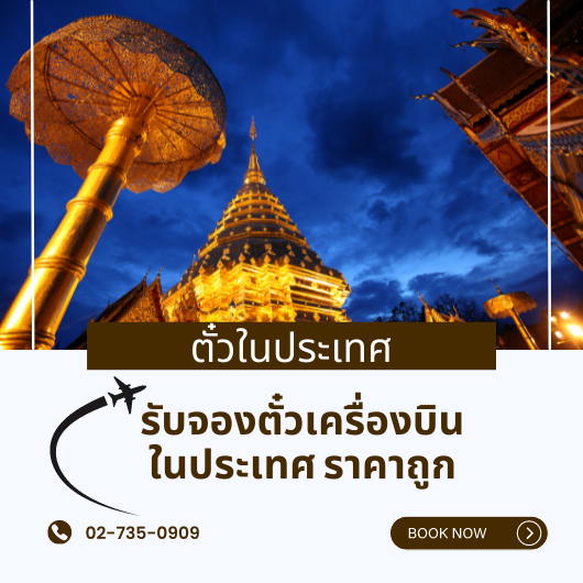 ตั๋วเครื่องบินในประเทศ
