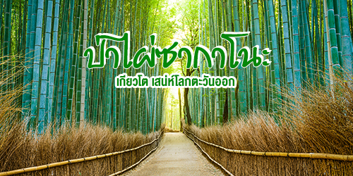 เที่ยวญี่ปุ่น ป่าไผ่ซากาโนะ Sagano bamboo forest เกียวโต เสน่ห์โลกตะวันออก