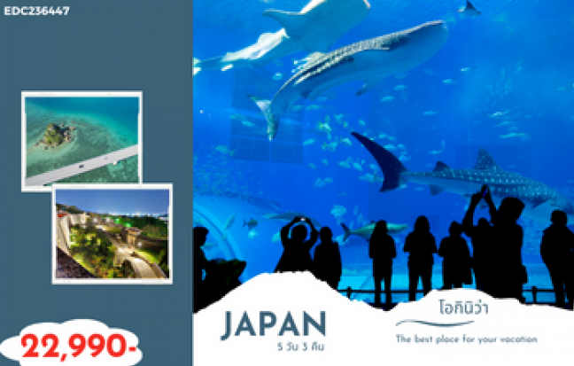 FIN JAPAN โอกินาว่า