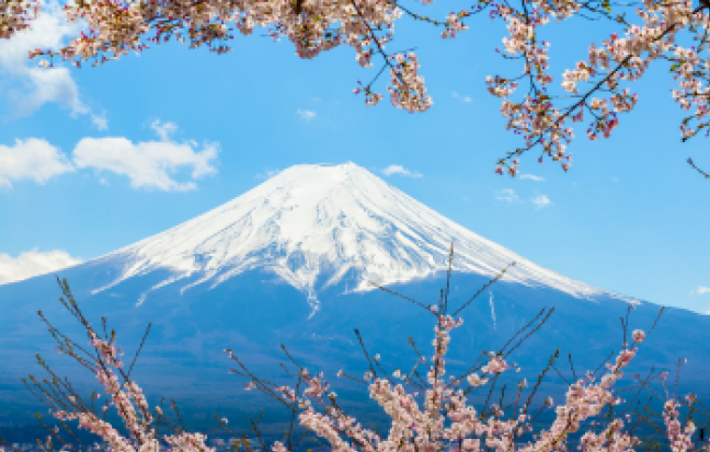โตเกียว FUJI SHIBA SAKURA ซุปตาร์...โตเกียว ปิ้งปั้ง ซากุระ - อลังเวอร์