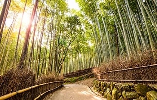 ทัวร์ญี่ปุ่น GOAL JAPAN GRAND KYOTO KUROBE TOKYO