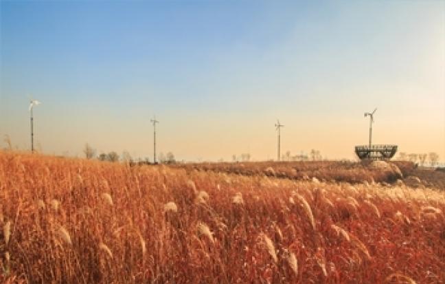 ทัวร์เกาหลี ♥AUTUMN Sha la la la la ♡