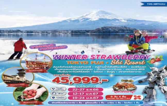 ทัวร์ญี่ปุ่น / JAPAN TOUR