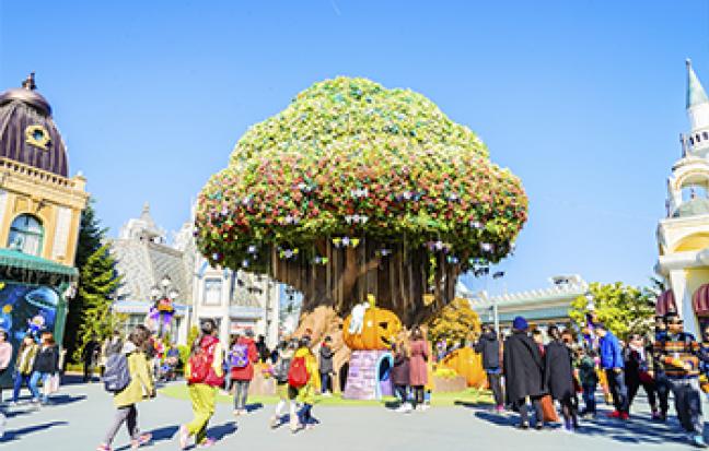 ทัวร์เกาหลี สวนสนุกเอเวอร์แลนด์