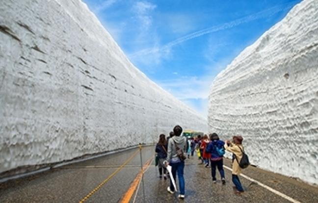 ทัวร์ญี่ปุ่น GOAL JAPAN GRAND ALPS & SAKURA