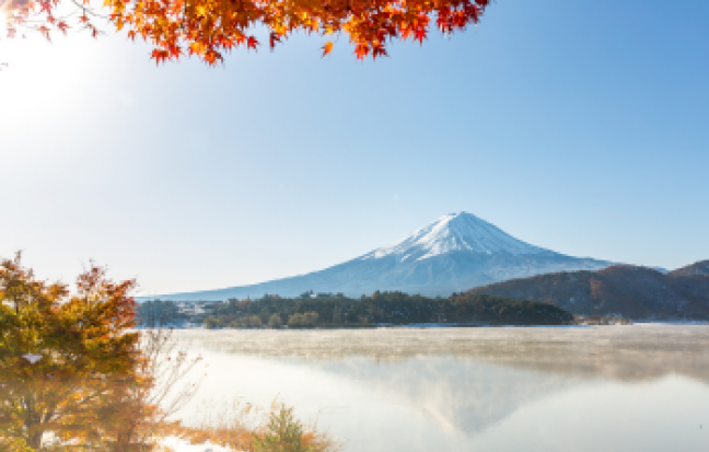 JAPAN โอซาก้า นาโกย่า เกียวโต คามิโคจิ เนโมพีล่า