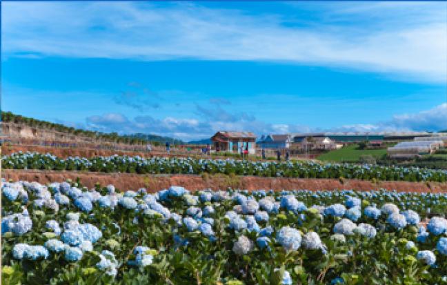 ทัวร์เวียดนาม มหัศจรรย์ DALAT สัมผัสเมืองโรแมนติก