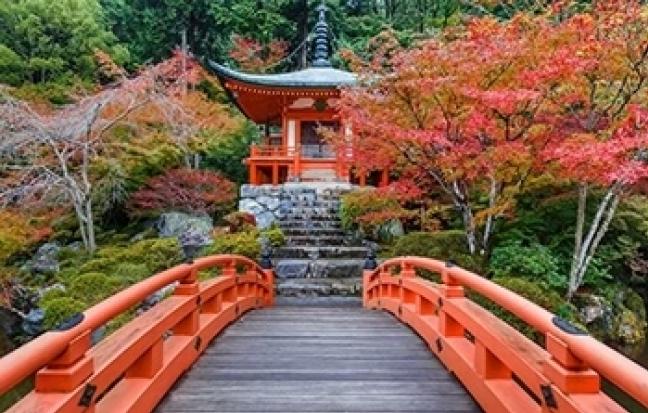 ทัวร์ญี่ปุ่น FUKUOKA BEBPU LUXURY