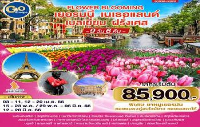 FLOWER BLOOMING เยอรมนี – เนเธอร์แลนด์ – เบลเยียม – ฝรั่งเศส