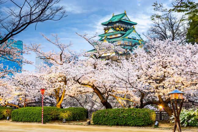 ทัวร์ญี่ปุ่น OSAKA KYOTO MIYAMA TOTTORI ซุปตาร์ ซากุระ โคนัน
