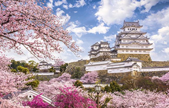 ทัวร์ญี่ปุ่น EASY PINK BLOSSOM