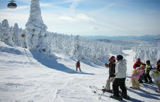 ทัวร์ญี่ปุ่น SENDAI SNOW MONSTER