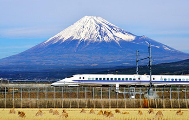 ทัวร์ญี่ปุ่น SPARKLING SAKURA TOKYO