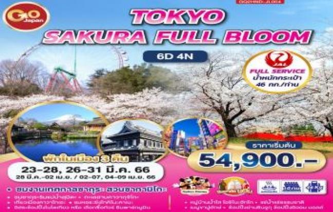 TOKYO SAKURA FULL BLOOM