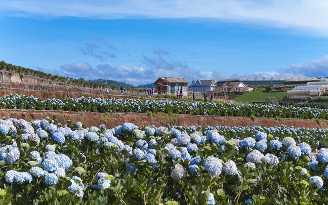 ทัวร์เวียดนาม มหัศจรรย์ NHA TRANG DALAT