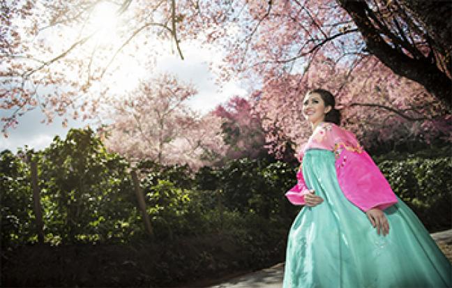 ท้วร์Korea♥Cherry Blossom เกาหลี-ซูวอน-โซล