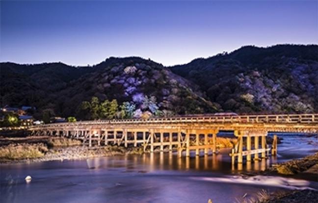 ทัวร์ญี่ปุ่น OSAKA TAKAYAMA KYOTO ซุปตาร์ ซากุระ อมชมพู