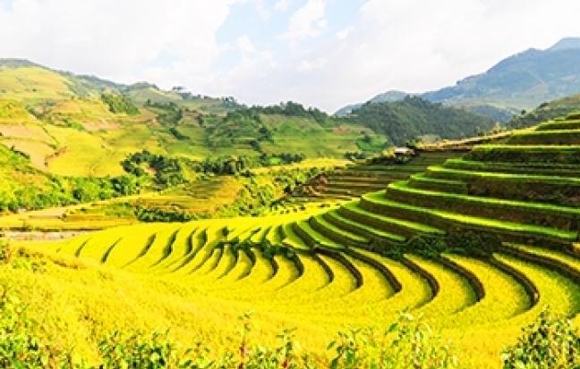 ทัวร์เวียดนาม / DESTINY VIETNAM