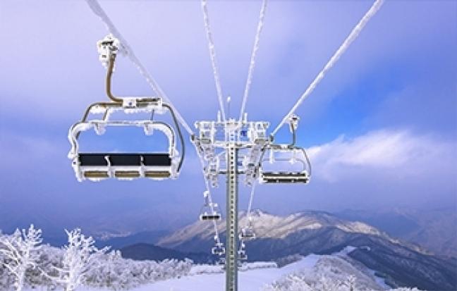 ทัวร์ญี่ปุ่น OhHo!! Tokyo Nikko Fuji kamakura Hakone