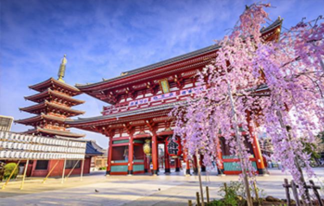 ทัวร์ญี่ปุ่น TOKYO FUJI FUKUSHIMA CHOMPOO