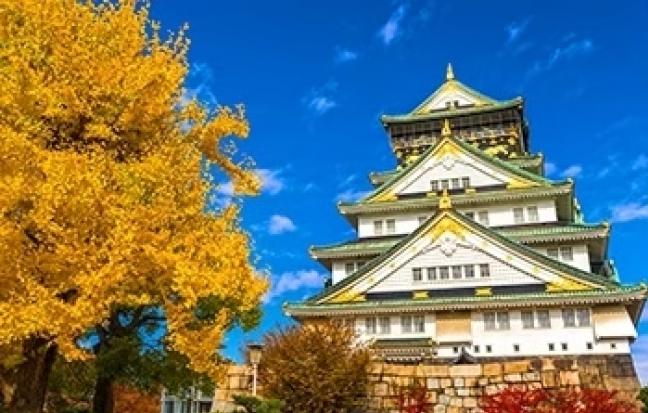 ทัวร์ญี่ปุ่น Autumn & Winter Golden Route Osaka Tokyo