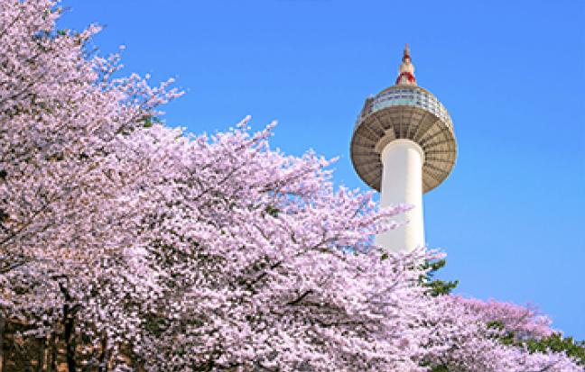 ทัวร์เกาหลี EASY KOREA AUTUMN LOVE