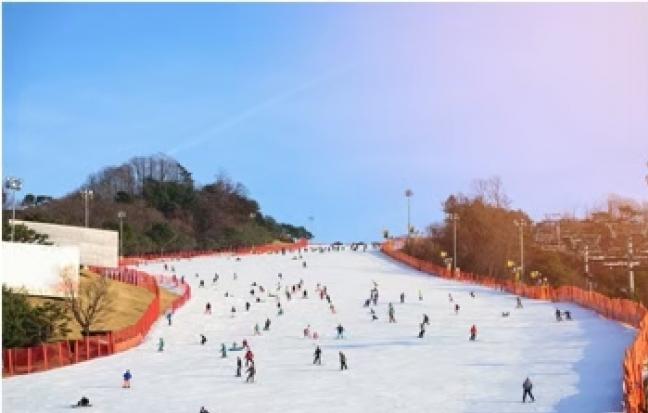 ทัวร์ญี่ปุ่น โอซาก้า เกียวโต ทาคายาม่า Ski White Snow