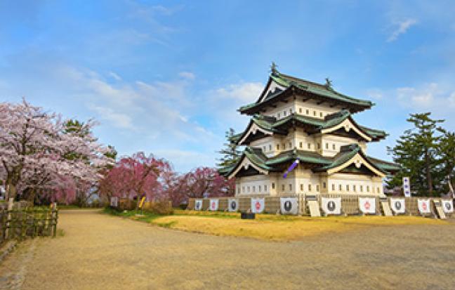 ทัวร์ญี่ปุ่น OSAKA KYOTO MIYAMA INE ซุปตาร์ ชาวประมง อมชมพู