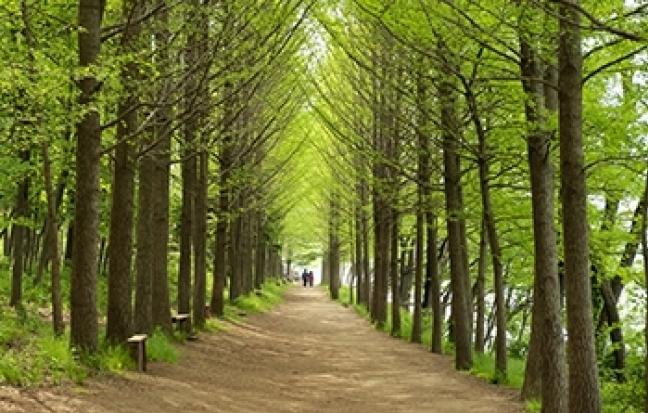 ทัวร์เกาหลี / HAPPY NATURAL WONDERS