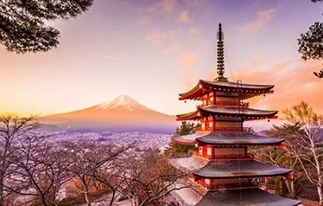 ทัวร์ญี่ปุ่น TOKYO FUJI KAWAGOE อุโมงค์เมเปิล
