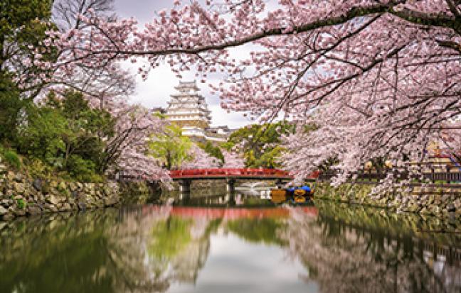 ทัวร์ญี่ปุ่น TAKAYAMA OSAKA KYOTO