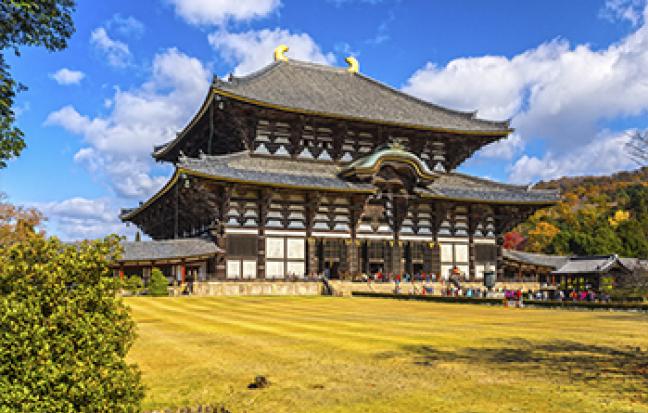 ทัวร์ญี่ปุ่น โอซาก้า เกียวโต ทาคายาม่า โตเกียว GRAND Honshu