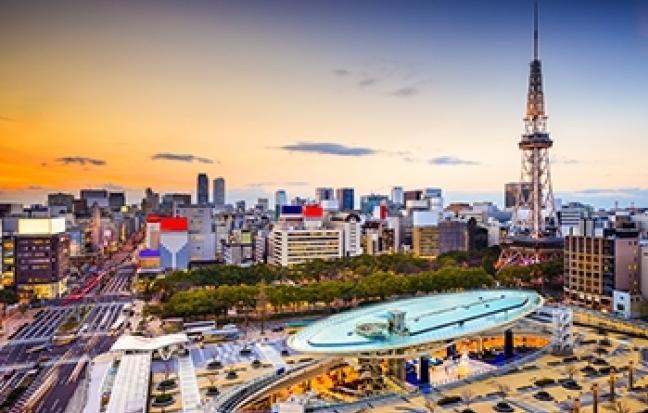 ทัวร์ญี่ปุ่น SPARKLING PINKMOSS TOKYO โตเกียว-อิบารากิ-ฟูจิ