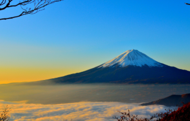 TOKYO FUJI SHIBAZAKURA FREEDAY ซุปตาร์...โตเกียว ซากุระฟรุ้งฟริ้ง วิ้งยันดวงจันทรื