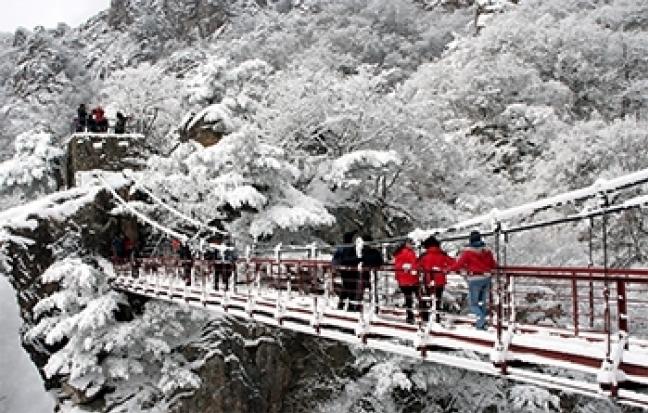 ทัวร์เกาหลี ซอรัคซาน Wonderful Winter