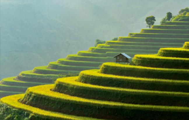 ทัวร์เวียดนาม HASHTAG HANOI - SAPA - FANSIPAN - NINH BINH