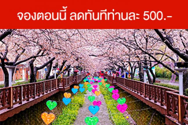 ทัวร์เกาหลี Cherry Blossom & April Snow Festival