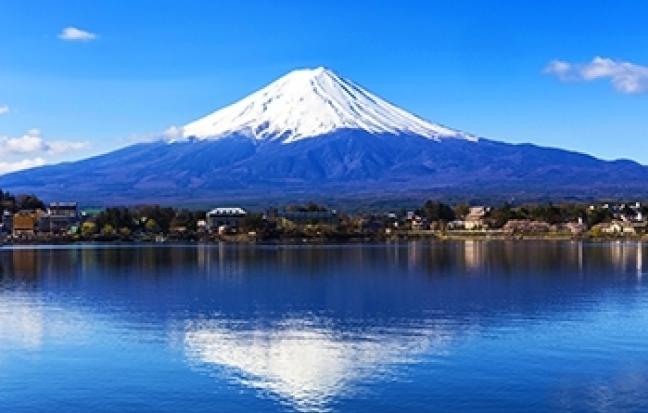 ทัวร์ญี่ปุ่น TOKYO FLOWER BY JL