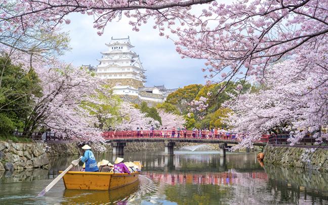ทัวร์ญี่ปุ่น PRO SAKURA NAGOYA TAKATAMA TOYAMA