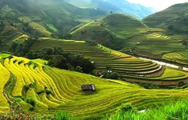 ทัวร์เวียดนาม เวียดนามเหนือ ฮานอย ซาปา ฮาลองบก