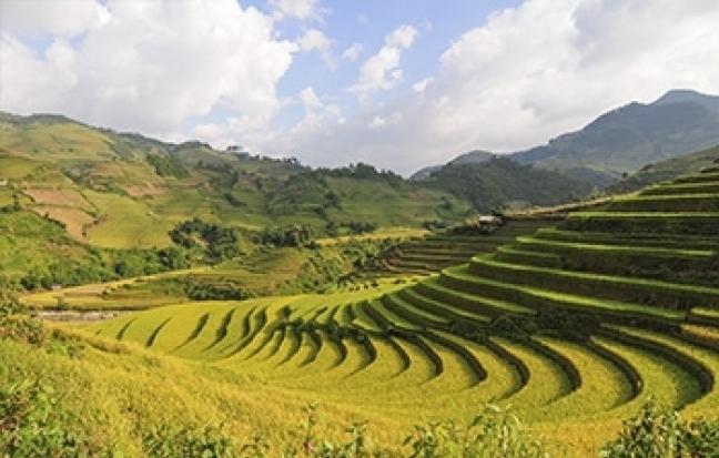 ทัวร์เวียดนาม เวียดนามเหนือ...มอคโช (moc chau) – SaPa(FANSIPAN)