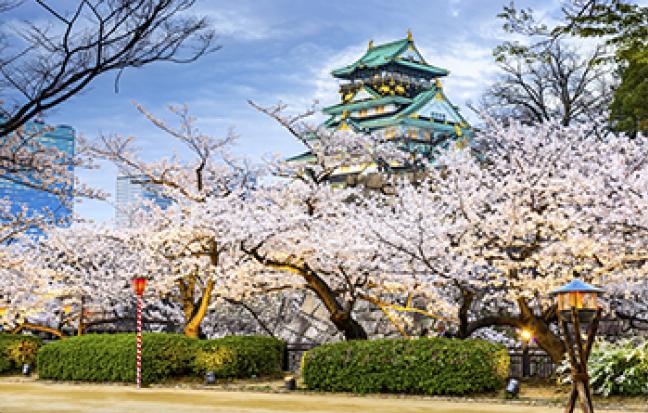 ทัวร์ญี่ปุ่นOSAKA KYOTO TOTTORI