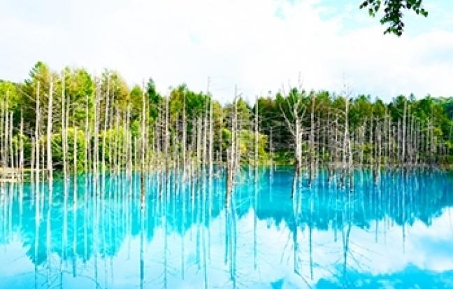 ทัวร์ญี่ปุ่น HOKKAIDO AUTUMN ( DELIGHT )