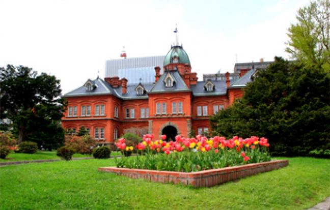 ทัวร์ญี่ปุ่น HOKKAIDO LAVENDER TG NO.2 ซัปโปโร-โนโบริเบ็ทสึ-โทยะ-โอตารุ-โซอุนเคียว-เนินสี่ฤดู-ชมทุ่งลาเวนเดอร์