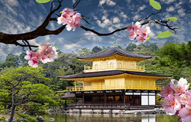 ทัวร์ญี่ปุ่น โตเกียว เกียวโต โอซาก้า SAKURA THE PARK