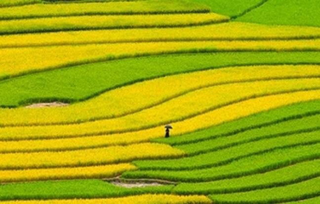 ทัวร์เวียดนาม HALONG HANOI SAPA