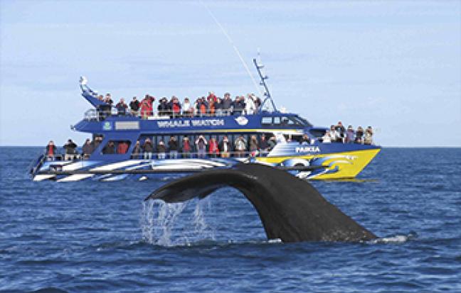 ทัวร์นิวซีเเลนด์ SOUTH ISLAND TSS+AKA