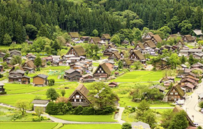 ทัวร์ญี่ปุ่น OSAKA SAKURA FREE DAY