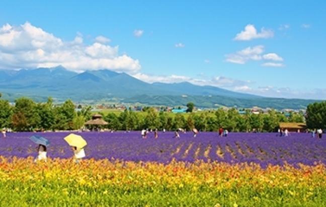 ทัวร์ญี่ปุ่น GOAL JAPAN GRAND HOKKAIDO FLOWER