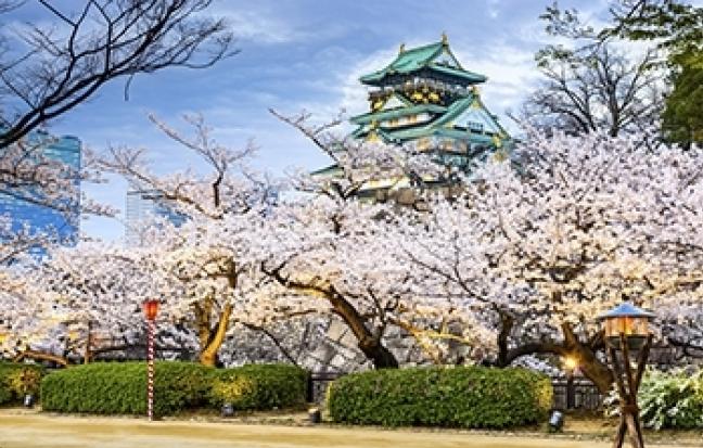 ทัวร์ญี่ปุ่น FROZEN OSAKA TAKAYAMA NARA